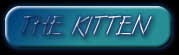 THE KITTEN